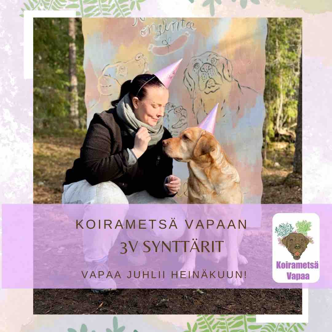 Lue lisää! Kuva: @tohotaavetti